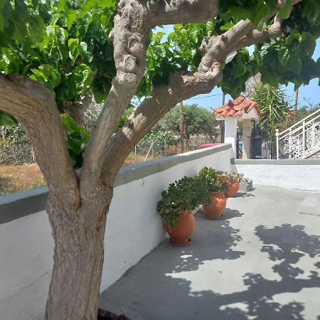 Mulberry House Hotell Elafónisos Eksteriør bilde